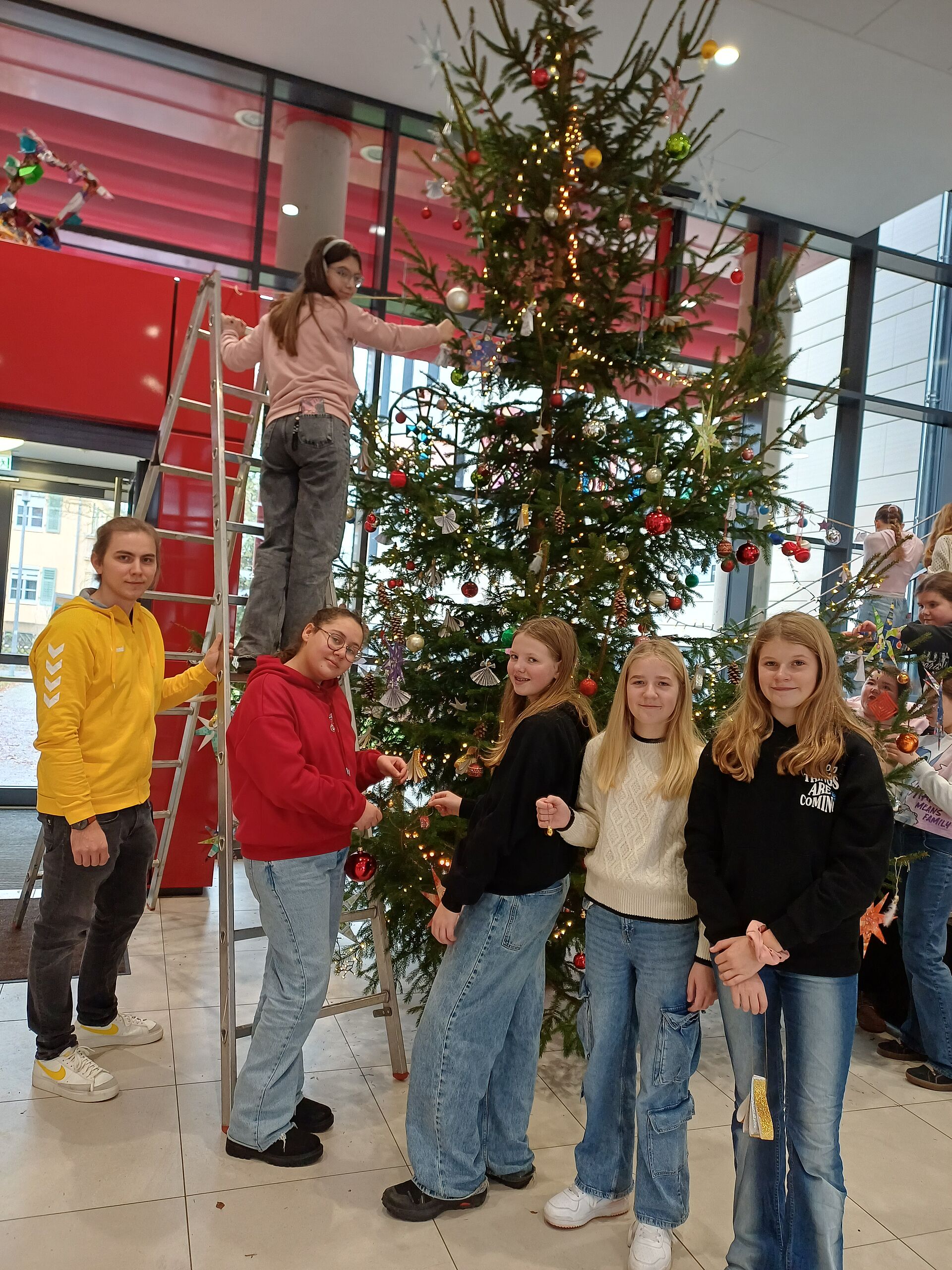 Auch die Leiter war dafür nötig - und ein paar Mutige.