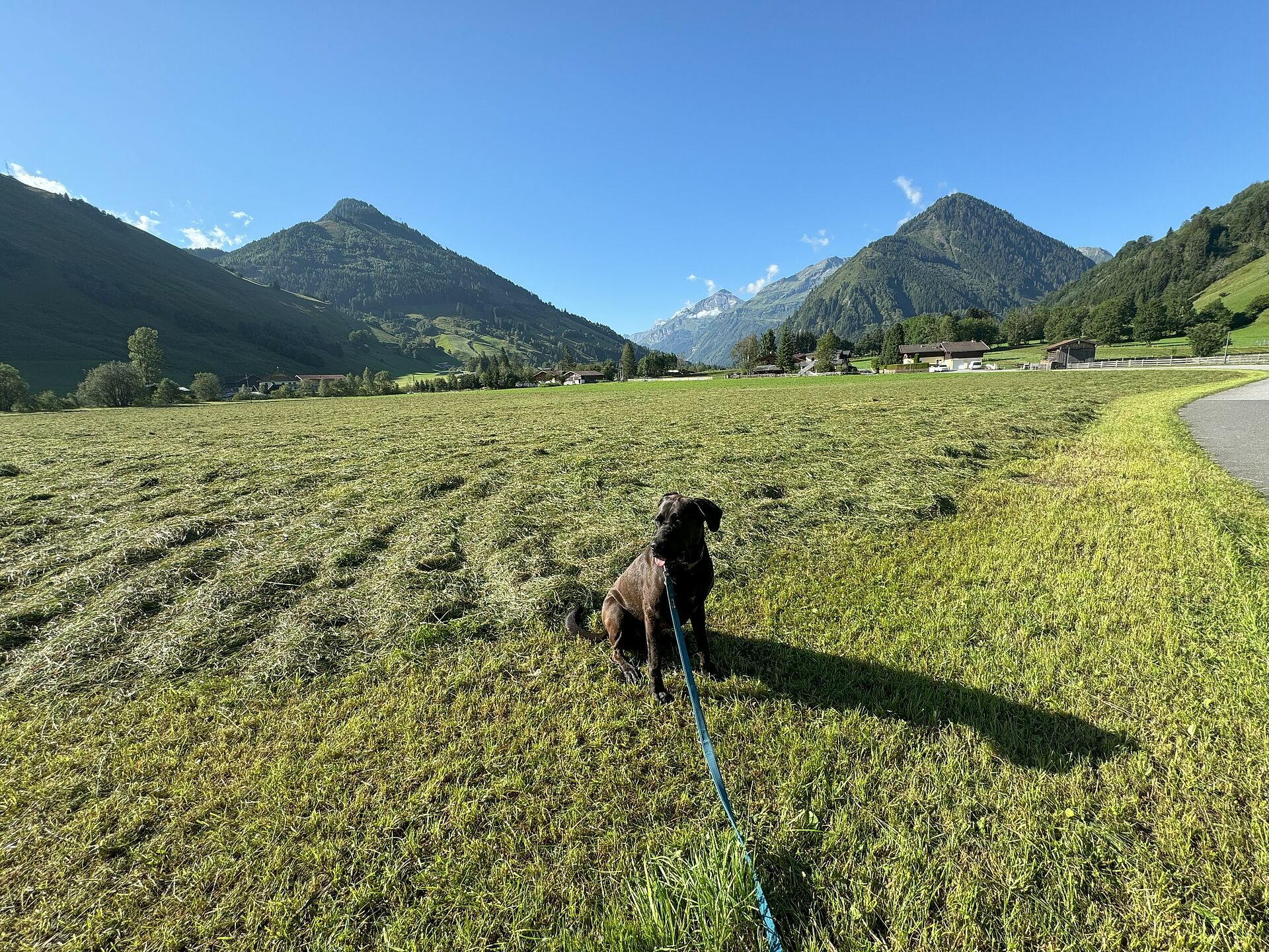Gassi im Rauriser Tal