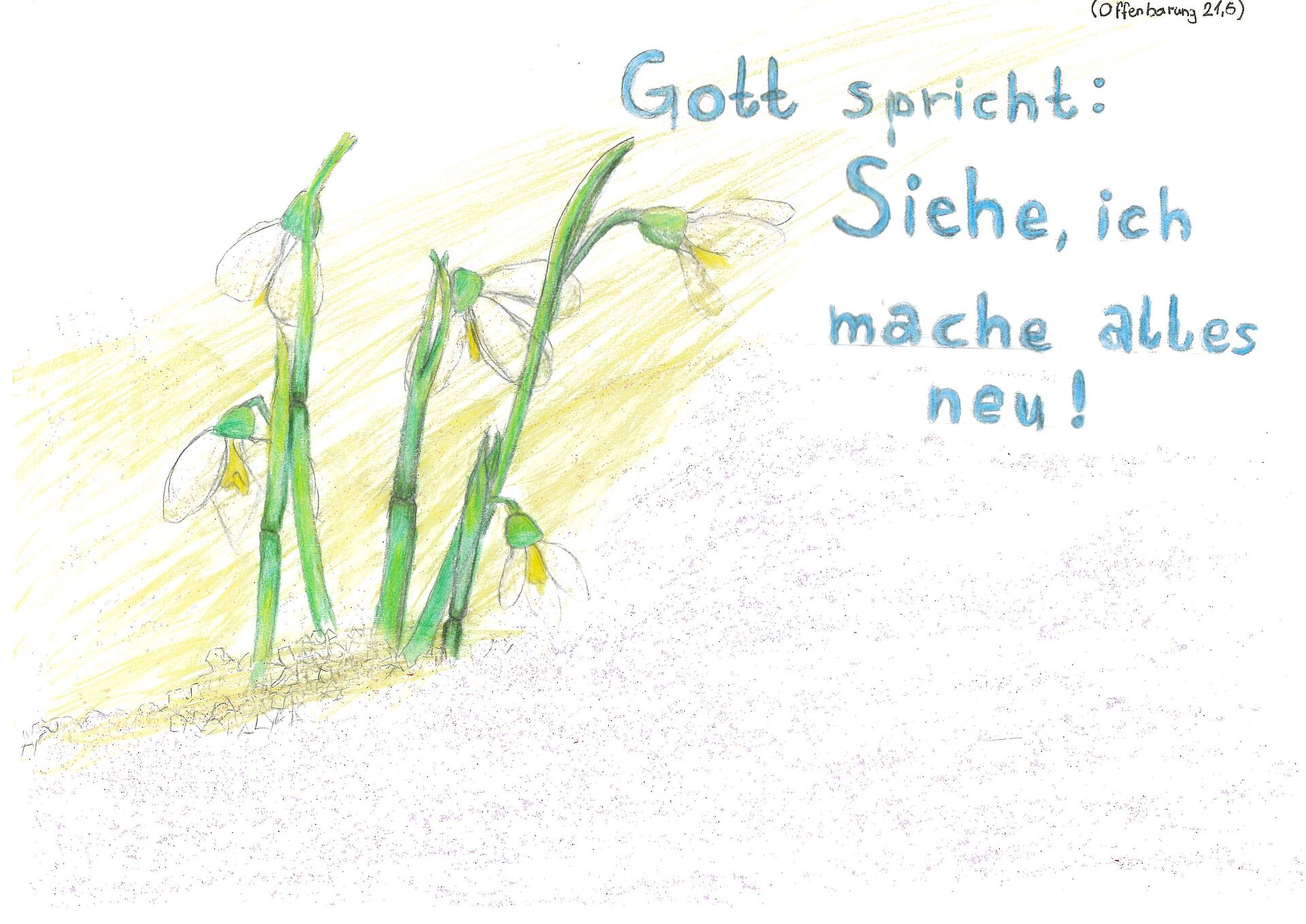 Die Schätze unseres christlichen Schulalltags: Teil 1: Unsere Jahreslosungen