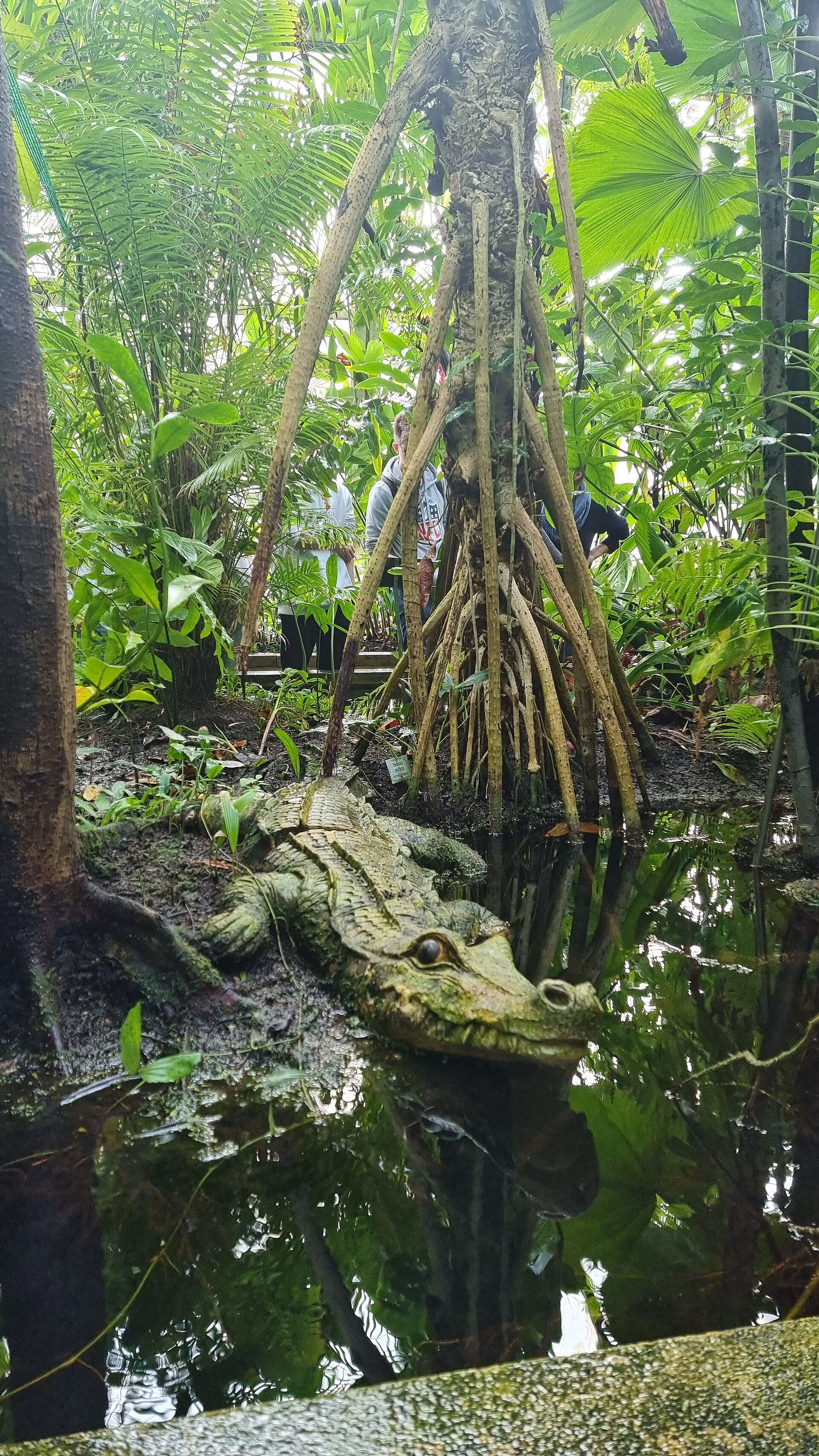 Geo-Exkursion zum Botanischen Garten Erlangen