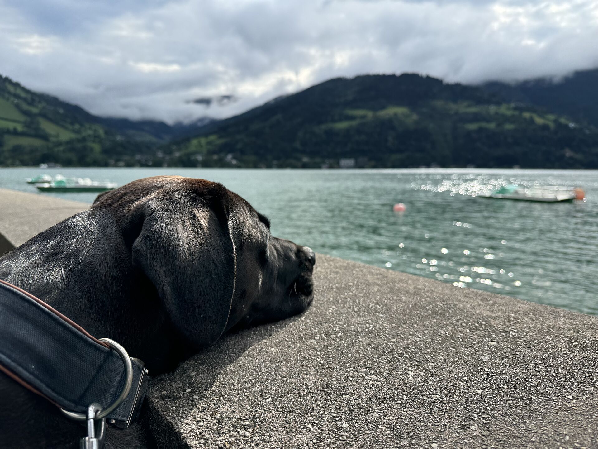Besuch von Zell am See