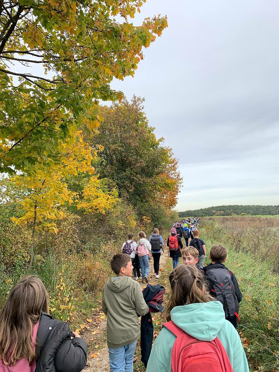 Wanderung in die Pflugsmühle