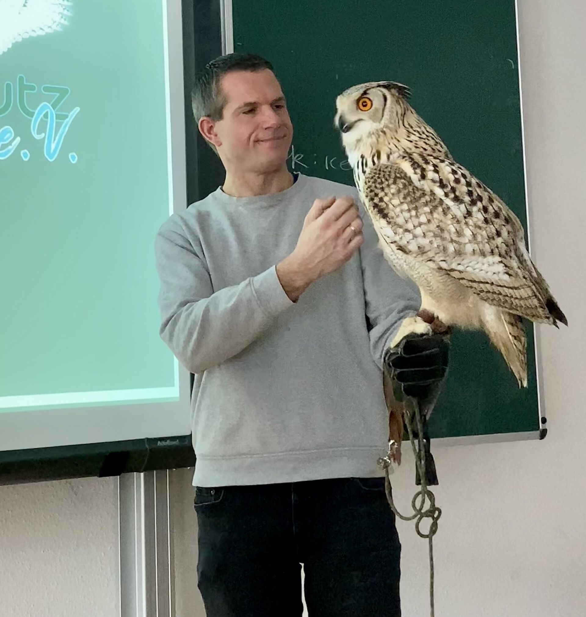 Kommt ein Vogel geflogen…