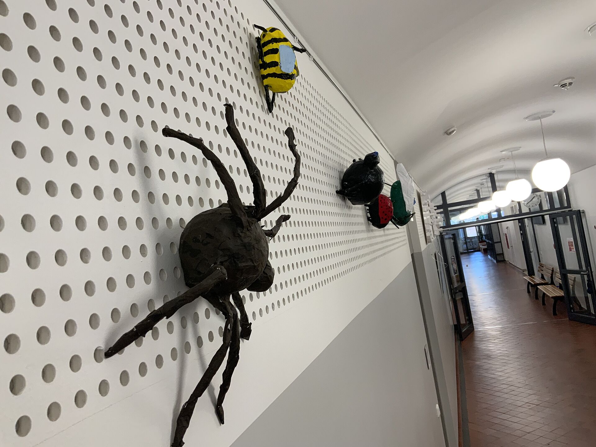 Insekten im ersten Stock